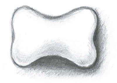 ������� � ����� ��������