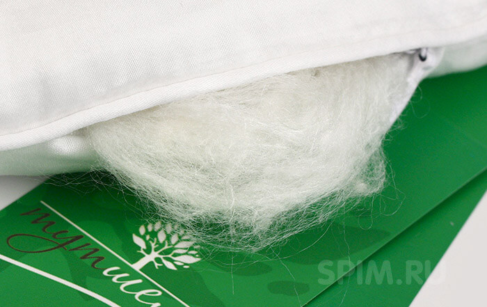 ���� � �������� (�������)