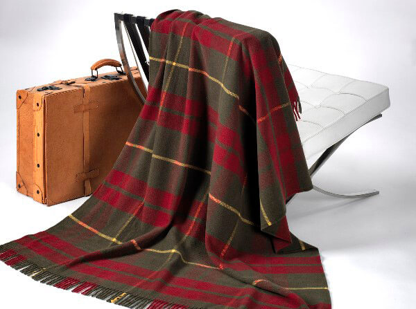 �������� ����