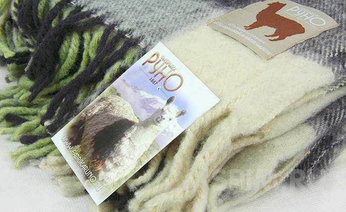 ���� �������