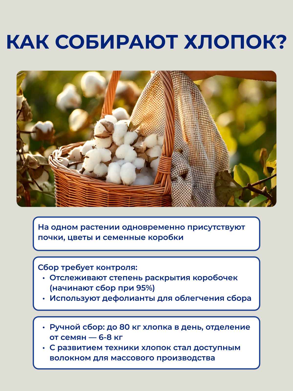 ��� �������� ������?