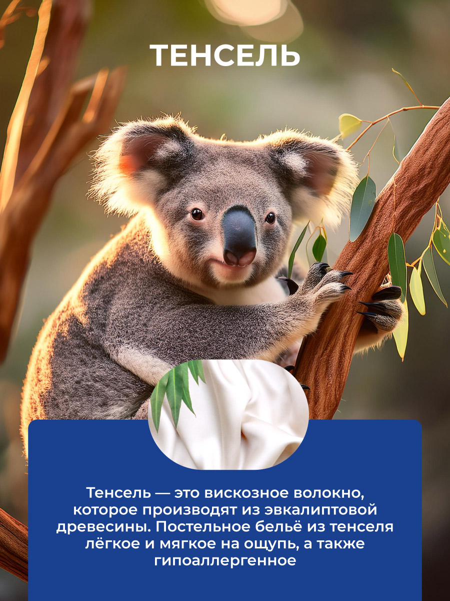 ��������� ��� ����������� ����� � �������