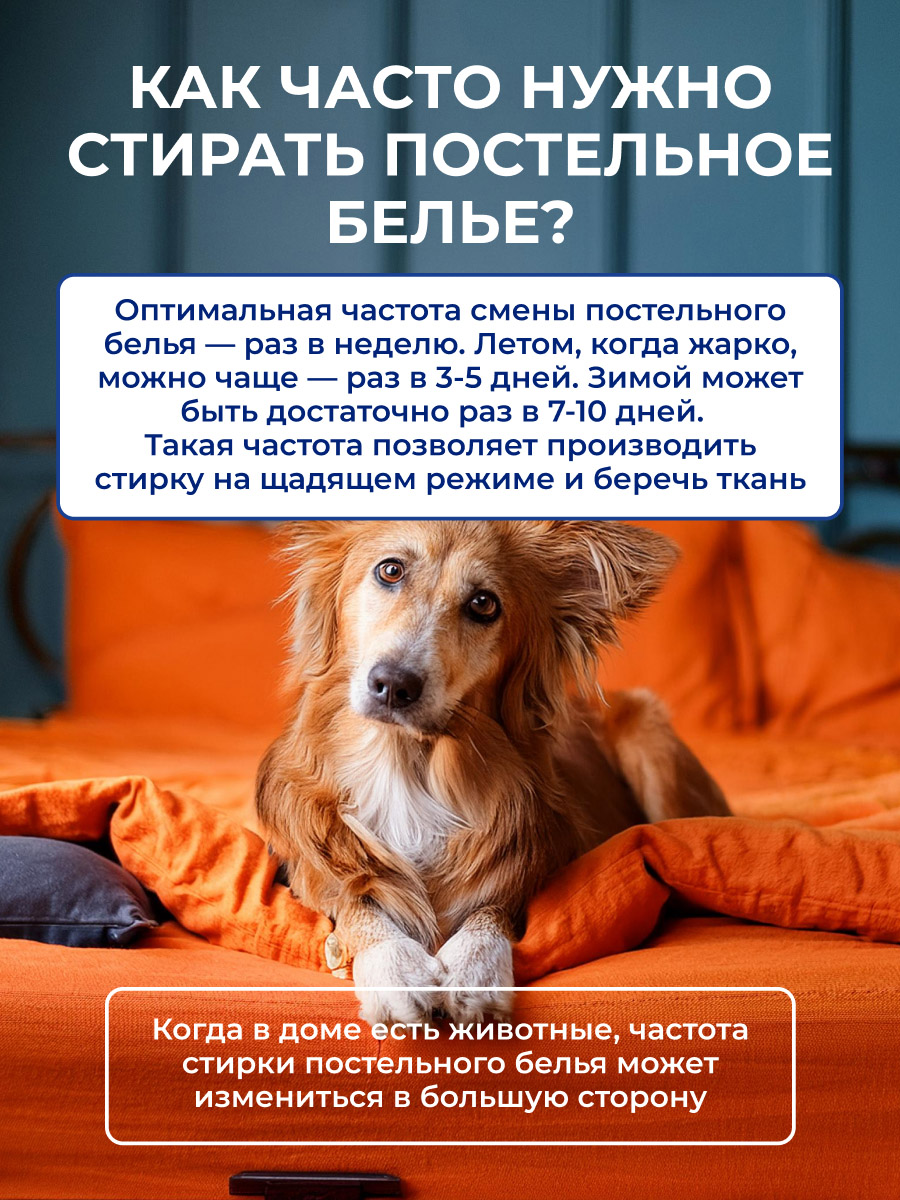 ������� ������ ����������� �����