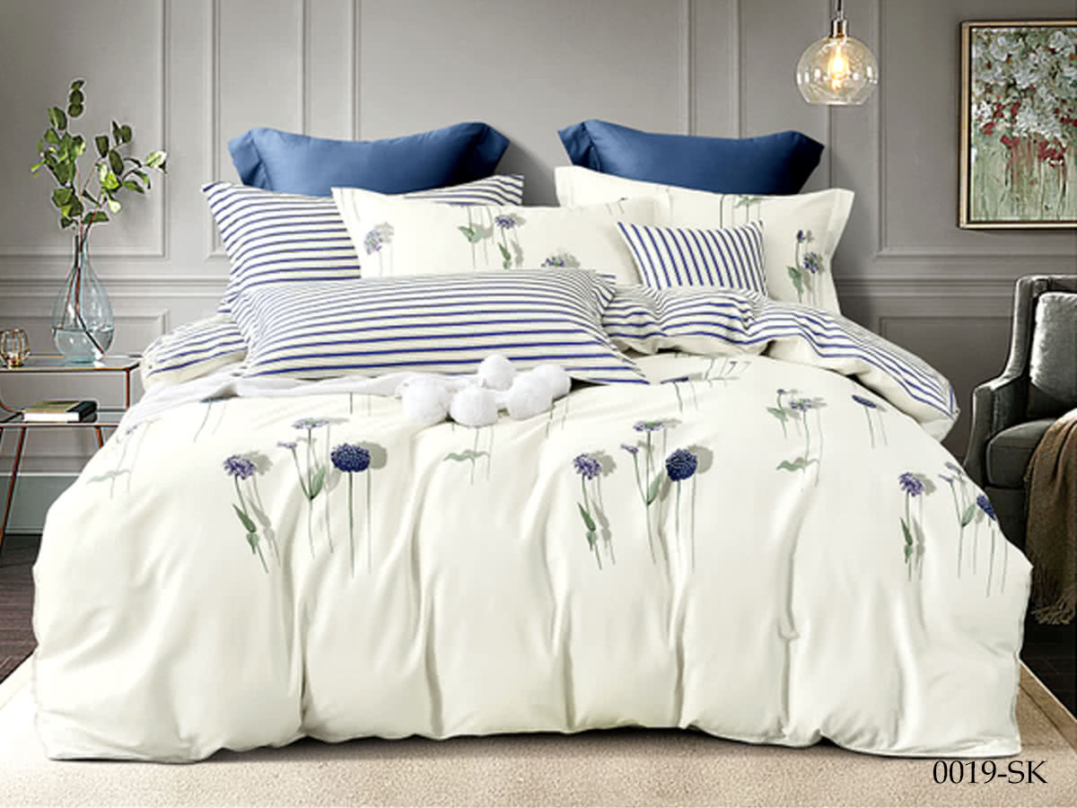 ���������� ����� Cleo 0019-SK