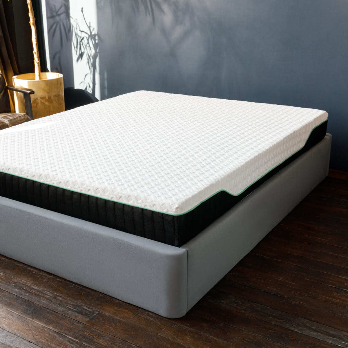 ������ darwin Orto Foam � [160 x 200 ��] � �������������� �����������