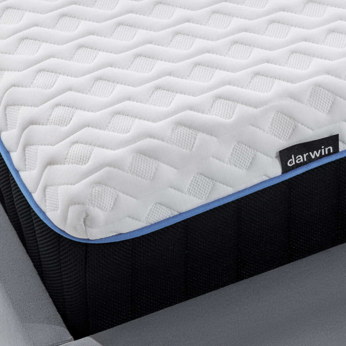 ������ darwin Evo Foam � ������-������� ������ � � ������