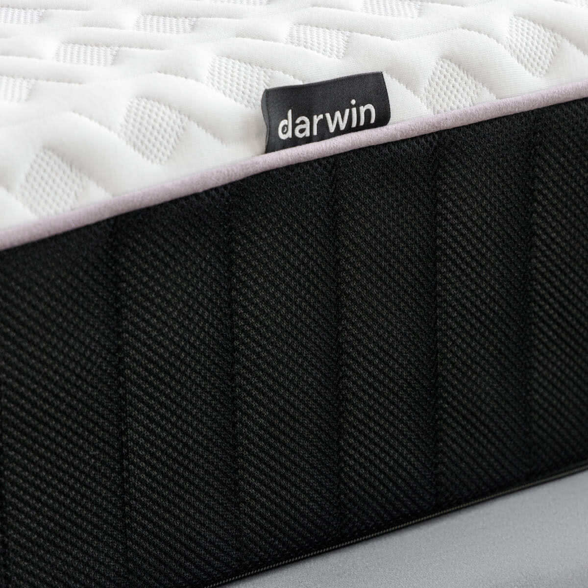 ������ darwin Life Spring � �������������� ����������� � � ������