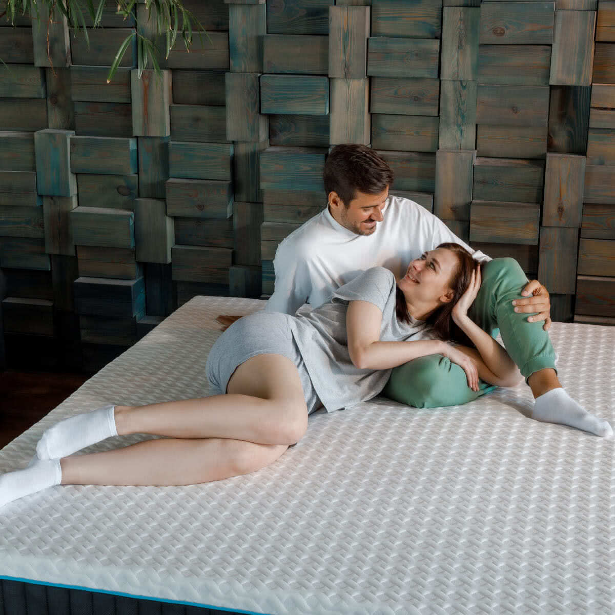 ������ darwin Evo Spring � ������-������� ������ � � ������