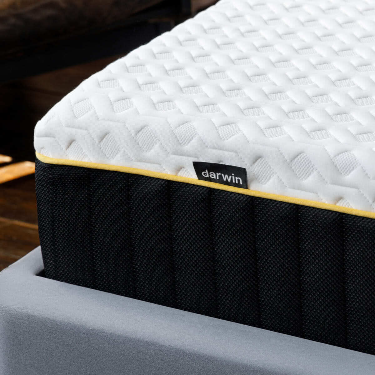 ������ darwin Air Spring � ������������� ������ � ������� �����