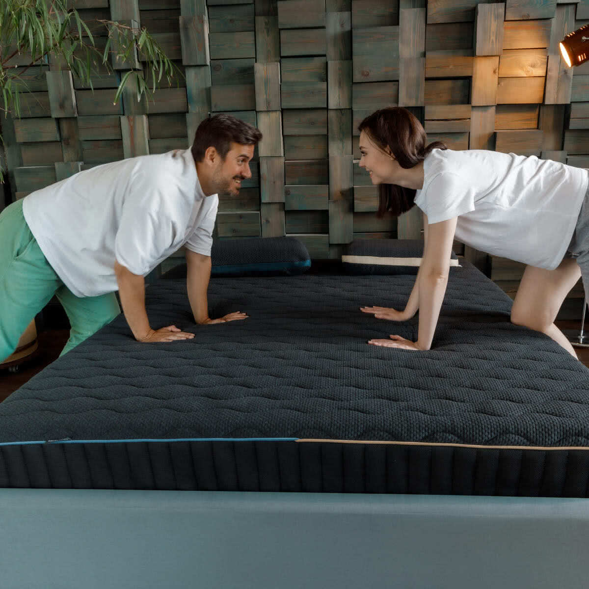 ������ darwin Duet � ��� ������ � ������������ ��� ������ ������������: 120 ��.