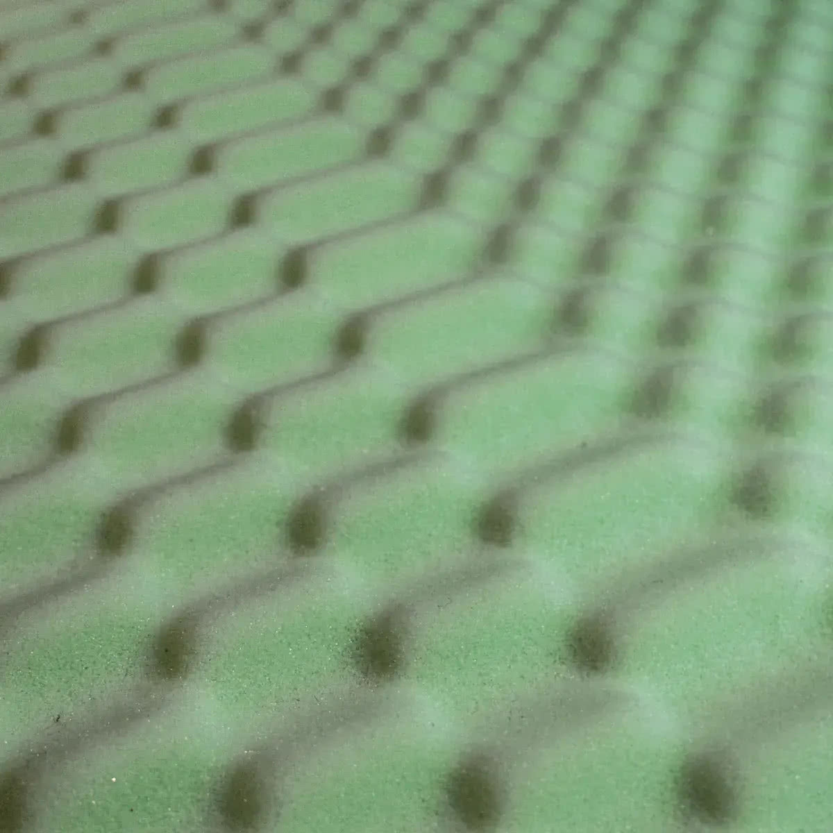 ������ darwin Zone Foam � ������������� ������ � ������� �����