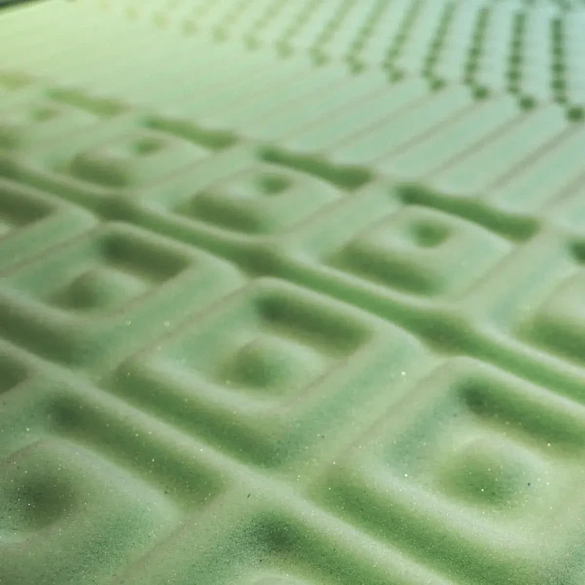 ������ darwin Zone Foam � ������� ����� � � ������