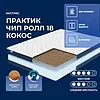 ������ Dimax ������� ��� ���� 18 �����