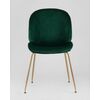  Stool Group Beetle 
