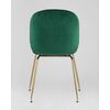  Stool Group Beetle 
