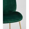  Stool Group Beetle 