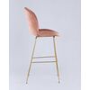   Stool Group Beetle    