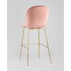   Stool Group Beetle    