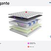 Lineaflex Elegante � ������