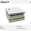 ������ Orto Base P � ������