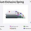 ProSon Elysium Exclusive Spring � ������
