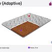 ������ Sonberry Poly (Adaptive) � ������