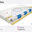 Mr.Mattress Cactus � ������