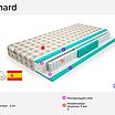 Mr.Mattress Richard � ������