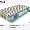 Mr.Mattress Amnesia � ������