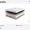 Lineaflex Magnolia � ������