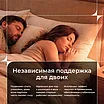 ������ Dream Master Relax Medium MP � ���� 23206 �. � ������-������� ������