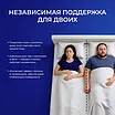 ������ Skysleep Real Zone Heavy Soft � ���� 73765 �. � �������� � ���� ������!