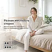 ������ Mr.Mattress Alliance ��������