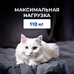   Sleep Combo   :   -  32 