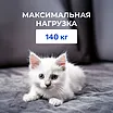 ������ ������� ��������� ������ ���� � ������-������� ������ � �������� 1,5 ����