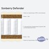 ����� ������� ������� Sonberry Defender � �������