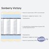 ����� ������� ������� Sonberry Victory � �������