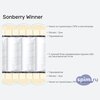 ����� ������� ������� Sonberry Winner � �������