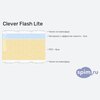 ����� ������� ������� Clever Flash Lite � �������