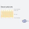 ����� ������� ������� Clever Latex Lite � �������