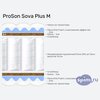����� ������� ������� ProSon Sova Plus M � �������