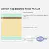 ����� ������� ������� Denwir Top Balance Relax Plus 21 � �������