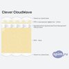 ����� ������� ������� Clever CloudWave � �������