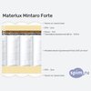 ����� ������� ������� Materlux Mintaro Forte � �������