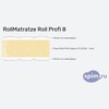����� ������� ������� Rollmatratze Roll Profi 8 � �������