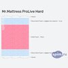 ����� ������� ������� Mr.Mattress ProLive Hard � �������