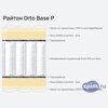 ����� ������� ������� ������ Orto Base P � �������