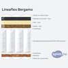 ����� ������� ������� Lineaflex Bergamo � �������