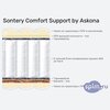 ����� ������� ������� Sontery by Askona Comfort Support � �������