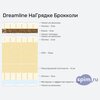 ����� ������� ������� DreamLine �������� � �������